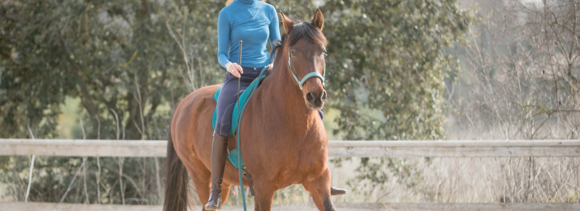 Goûtez l'Excellence à cheval